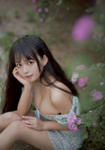 问尘情缘_DVD日韩电影在线