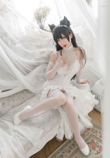 君心难逑电视剧免费观看全集高清_BD高清完整版播放