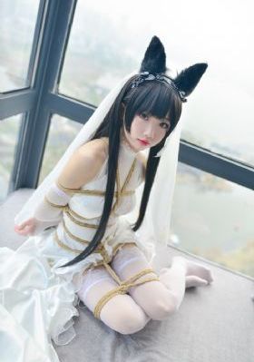 星辰影视免费观看_高清免费播放