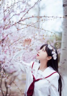 激情无删减版莫妮卡贝鲁奇_免费在线观看